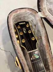 YAMAHA YAMAHA L-53 Custom 1977_4