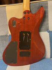 FERNANDES JG-85S EV_7