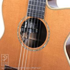 ASTURIAS Solo Artist C_11