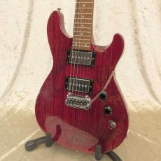 FERNANDES APG-DLX JPC 2011_2