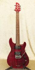 FERNANDES APG-DLX JPC 2011_3