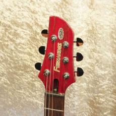 FERNANDES APG-DLX JPC 2011_4