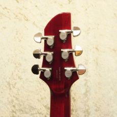 FERNANDES APG-DLX JPC 2011_5