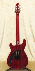FERNANDES APG-DLX JPC 2011_6