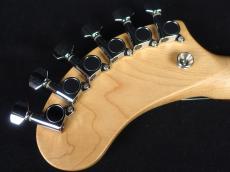 FERNANDES DIGI-ZO PTR_9