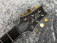 Paul Reed Smith [PRS] 30th Anniversary Custom24 Artist Package -Black&Gold Burst-_6