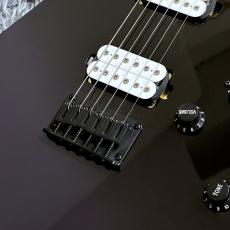 Ibanez RG421DX-TWS (Twilight Shade) 【2026年NEWモデル】【SPOTモデル】_3