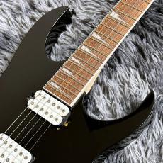 Ibanez RG421DX-TWS (Twilight Shade) 【2026年NEWモデル】【SPOTモデル】_4