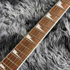 Ibanez RG421DX-TWS (Twilight Shade) 【2026年NEWモデル】【SPOTモデル】_5