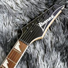 Ibanez RG421DX-TWS (Twilight Shade) 【2026年NEWモデル】【SPOTモデル】_6