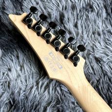 Ibanez RG421DX-TWS (Twilight Shade) 【2026年NEWモデル】【SPOTモデル】_7