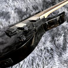 Ibanez RG421DX-TWS (Twilight Shade) 【2026年NEWモデル】【SPOTモデル】_10