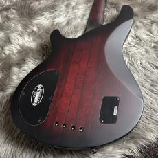 SCHECTER HELLRAISER EXTREME-4-CRBS [AD-HR-EX-BASS-4] 【現物画像】【最大36回分割無金利キャンペーン実施中】_4