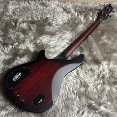 SCHECTER HELLRAISER EXTREME-4-CRBS [AD-HR-EX-BASS-4] 【現物画像】【最大36回分割無金利キャンペーン実施中】_5