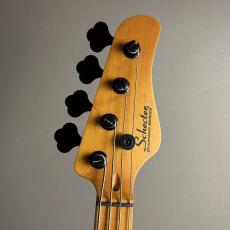 SCHECTER MODEL-T SESSION-ANS [AD-MT-SS] 【現物画像】【最大36回分割無金利キャンペーン実施中】_6