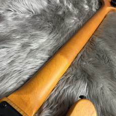 SCHECTER MODEL-T SESSION-ANS [AD-MT-SS] 【現物画像】【最大36回分割無金利キャンペーン実施中】_9