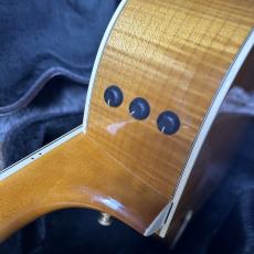 Taylor 614ce 2004_10