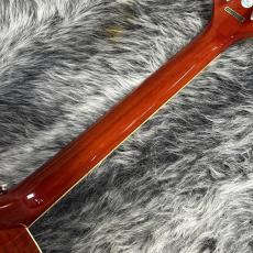 Epiphone Hummingbird Pro_8