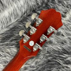 Epiphone Hummingbird Pro_9