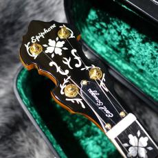 Epiphone Earl Scruggs Golden Deluxe Banjo_6