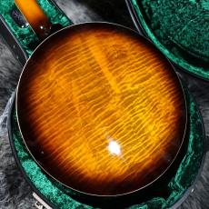 Epiphone Earl Scruggs Golden Deluxe Banjo_7