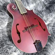 Epiphone F-5 Studio Wine Red Satin