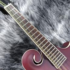 Epiphone F-5 Studio Wine Red Satin_2