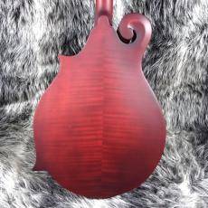 Epiphone F-5 Studio Wine Red Satin_4