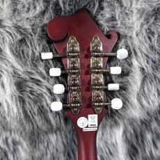 Epiphone F-5 Studio Wine Red Satin_5