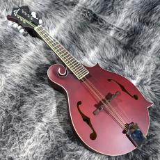 Epiphone F-5 Studio Wine Red Satin_7