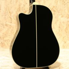 Takamine DMP861C BL 2014_2