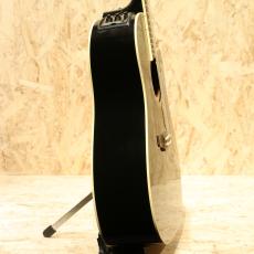 Takamine DMP861C BL 2014_4