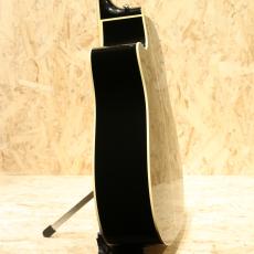 Takamine DMP861C BL 2014_5