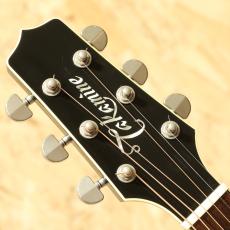 Takamine DMP861C BL 2014_8