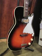 Harmony 1950's ～ 1960's Stratotone_3