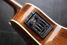 Taylor 814-BCE　ハカランダ　_5