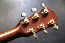 Taylor 814-BCE　ハカランダ　_6