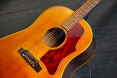 Gibson J-50　1965年　激安品_3