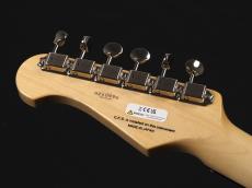 FgN NST200RAL-VSB/01 ~Vintage Sunburst~_9