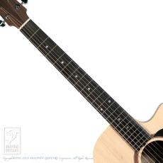 Maton Performer_5