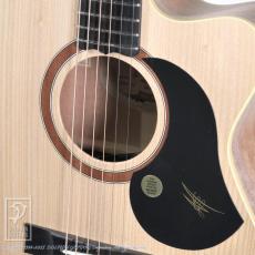 Maton Performer_12