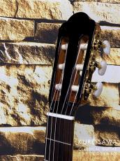 ARIA アリア A-100CWE【エレガット】【日本総本店2F 在庫品】_8