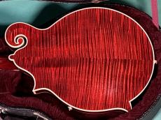 Gibson F-7 DAVID HARVEY_3