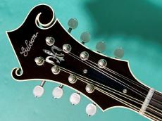 Gibson F-7 DAVID HARVEY_5