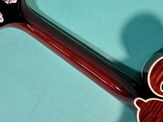 Gibson F-7 DAVID HARVEY_8