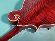 Gibson F-7 DAVID HARVEY_9