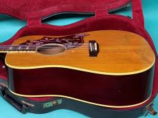 Gibson HUMMINGBIRD NT_4
