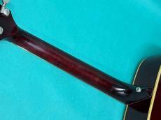 Gibson HUMMINGBIRD NT_8