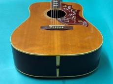 Gibson HUMMINGBIRD NT_11