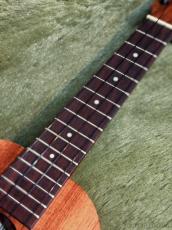 Kamaka HF-2 Concert #250832 【コンサート・スタンダード】【48回金利0%対象】【送料込】_7